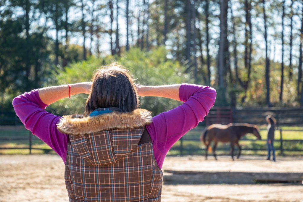 Equine Wisdom