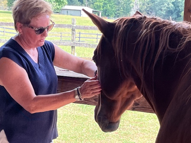 Indigo with guest post experiential horse session