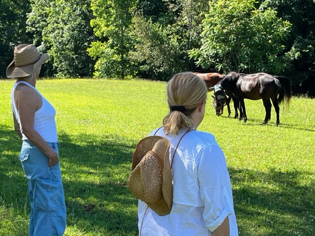 women.s balance & harmony retreat with horses imagine equus farm August 9, 2024